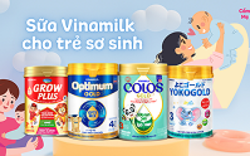 Mua Sữa Cho Bé Ở Bến Tre – Gợi Ý Địa Chỉ Uy Tín: Cửa Hàng Sữa Nghĩa Thu